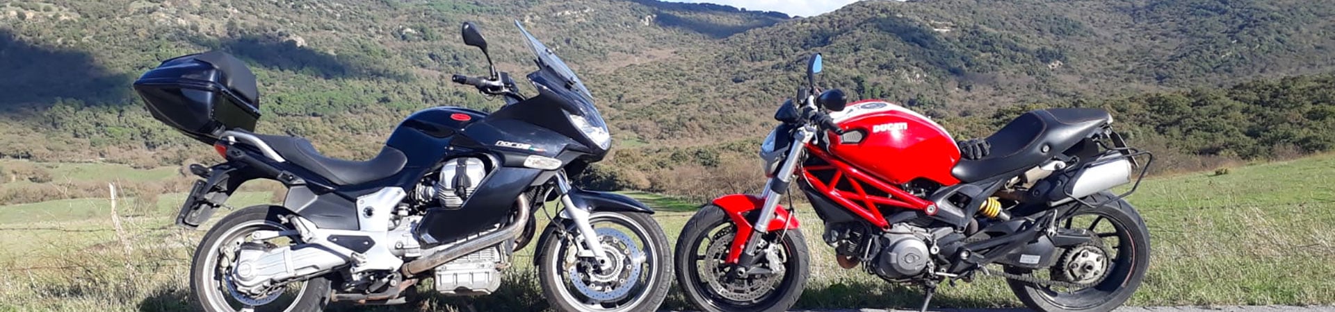 Terms and Conditions